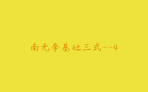 南无拳基础三式–4