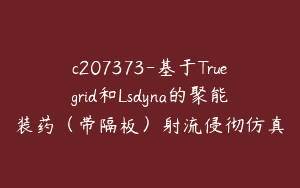 c207373-基于Truegrid和Lsdyna的聚能装药（带隔板）射流侵彻仿真