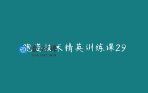 跑姿技术精英训练课29