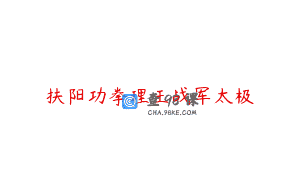 扶阳功拳理王战军太极