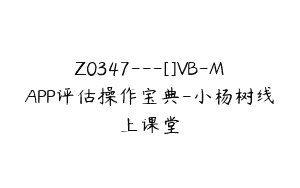 Z0347---[]VB-MAPP评估操作宝典-小杨树线上课堂