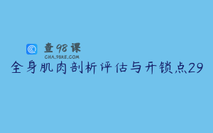 全身肌肉剖析评估与开锁点29