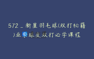 572_新星羽毛球(双打秘籍)业余球友双打必学课程
