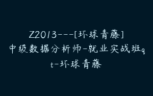 Z2013—[环球青藤]中级数据分析师-就业实战班qt-环球青藤