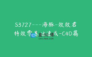 S3727---海豚-效效君特效零基础速成-C4D篇