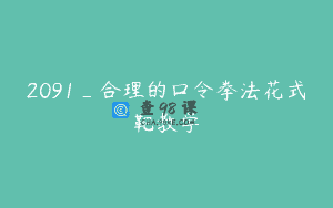2091_合理的口令拳法花式靶教学