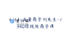 6163-流量商学刘先生-1980短视频商学课