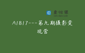 A1817—第九期摄影变现营