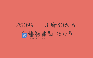 A5099—汪峰30天音乐升维计划-(57)节