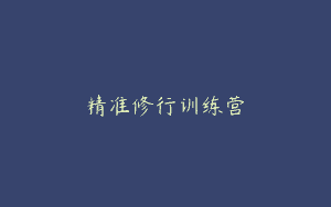 精准修行训练营