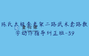 陈氏太极拳老架二路武术套路教学动作指导纠正班-39