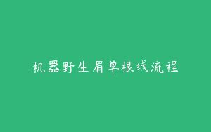 机器野生眉单根线流程