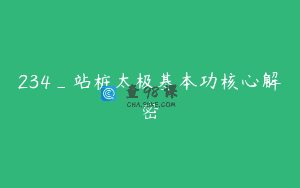 234_站桩太极基本功核心解密
