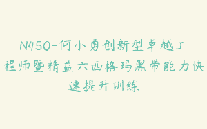 N450-何小勇创新型卓越工程师暨精益六西格玛黑带能力快速提升训练