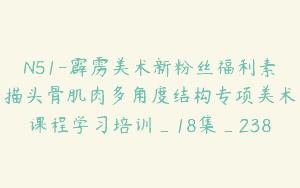 N51-霹雳美术新粉丝福利素描头骨肌肉多角度结构专项美术课程学习培训_18集_238