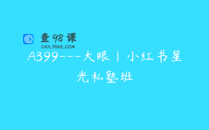 A399---大眼丨小红书星光私塾班