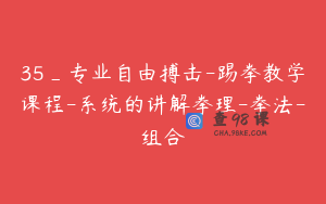 35_专业自由搏击-踢拳教学课程-系统的讲解拳理-拳法-组合