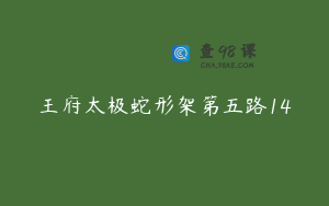 王府太极蛇形架第五路14