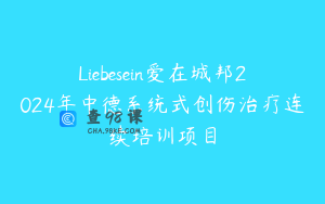 Liebesein爱在城邦2024年中德系统式创伤治疗连续培训项目