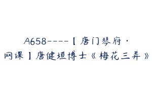 A658----【唐门琴府·网课】唐健垣博士《梅花三弄》