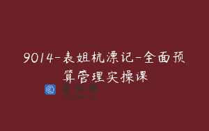 9014-表姐杭漂记-全面预算管理实操课