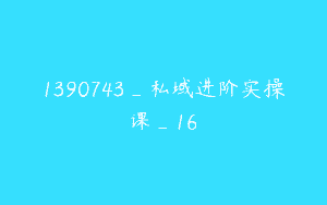 1390743_私域进阶实操课_16