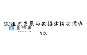 OD组织发展与数据建模实操班43.