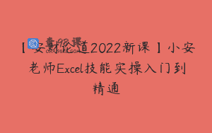 【安财论道2022新课】小安老师Excel技能实操入门到精通