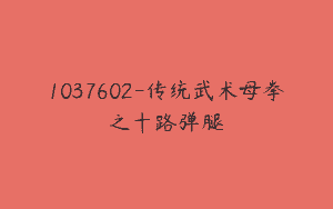 1037602-传统武术母拳之十路弹腿