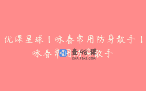 优课星球【咏春常用防身散手】咏春常用防身散手