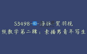 S3498—海豚-贺羽视频教学第二辑：素描男青年写生