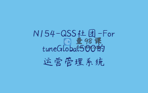 N154-QSS社团-FortuneGlobal500的运营管理系统