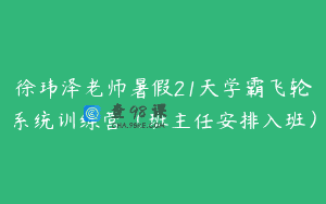 徐玮泽老师暑假21天学霸飞轮系统训练营（班主任安排入班）