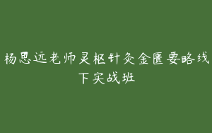 杨思远老师灵枢针灸金匮要略线下实战班