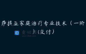 萨提亚家庭治疗专业技术（一阶）(交付）