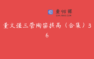 董文强三管陶笛提高（合集）36
