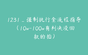 1231_强制执行全流程指导（10w-100w有判决没回款的拍）
