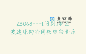Z3068—[问到]维密波速球初阶同款维密音乐