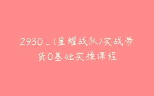 2930_(星耀战队)实战带货0基础实操课程