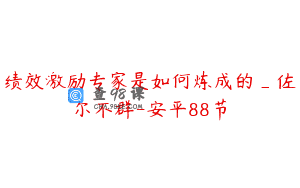 绩效激励专家是如何炼成的_佐尔不群-安平88节