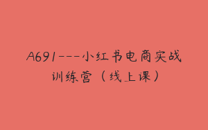 A691---小红书电商实战训练营（线上课）