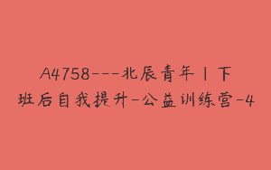 A4758---北辰青年｜下班后自我提升-公益训练营-4