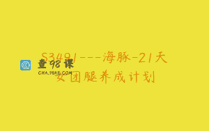 S3491—海豚-21天女团腿养成计划