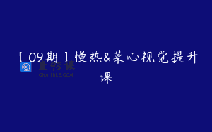 【09期】慢热&菜心视觉提升课