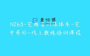 N263-空舞者训练体系-空中吊环-线上教练培训课程
