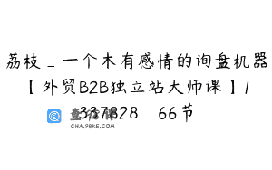 荔枝_一个木有感情的询盘机器【外贸B2B独立站大师课】1337828_66节
