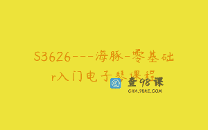 S3626—海豚-零基础r入门电子琴课程