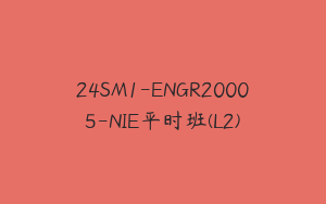24SM1-ENGR20005-NIE平时班(L2)