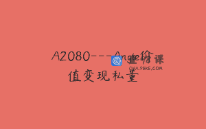 A2080—Angie价值变现私董