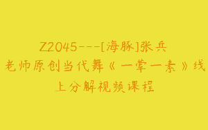 Z2045—[海豚]张兵老师原创当代舞《一荤一素》线上分解视频课程